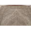 Distressed Wool Traditional Area Rug 6x9