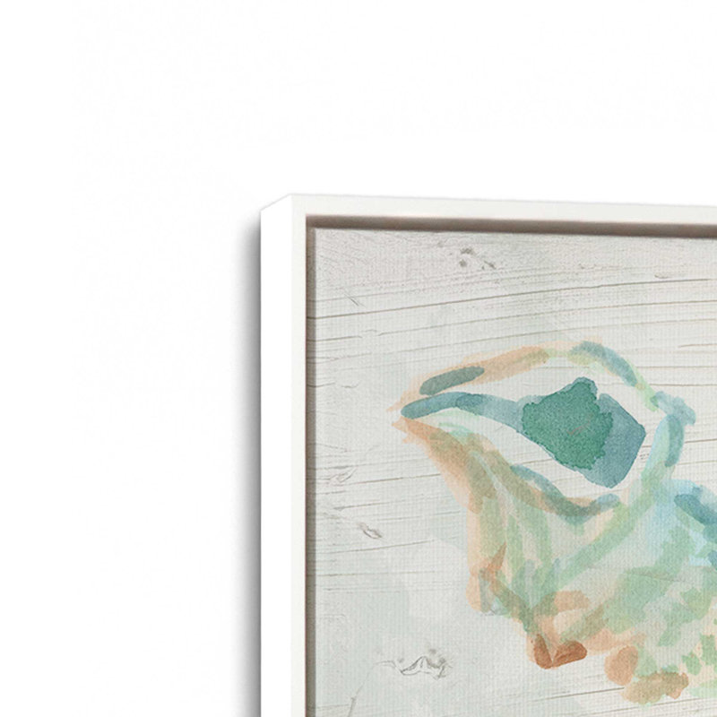 Reproduction d'art sur toile Saltwashed Shells II par June Erica Vess, H 30 po x l 30 po, Blanc
