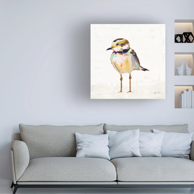 Art sur toile Jeanette Vertentes «Coastal Plover II»