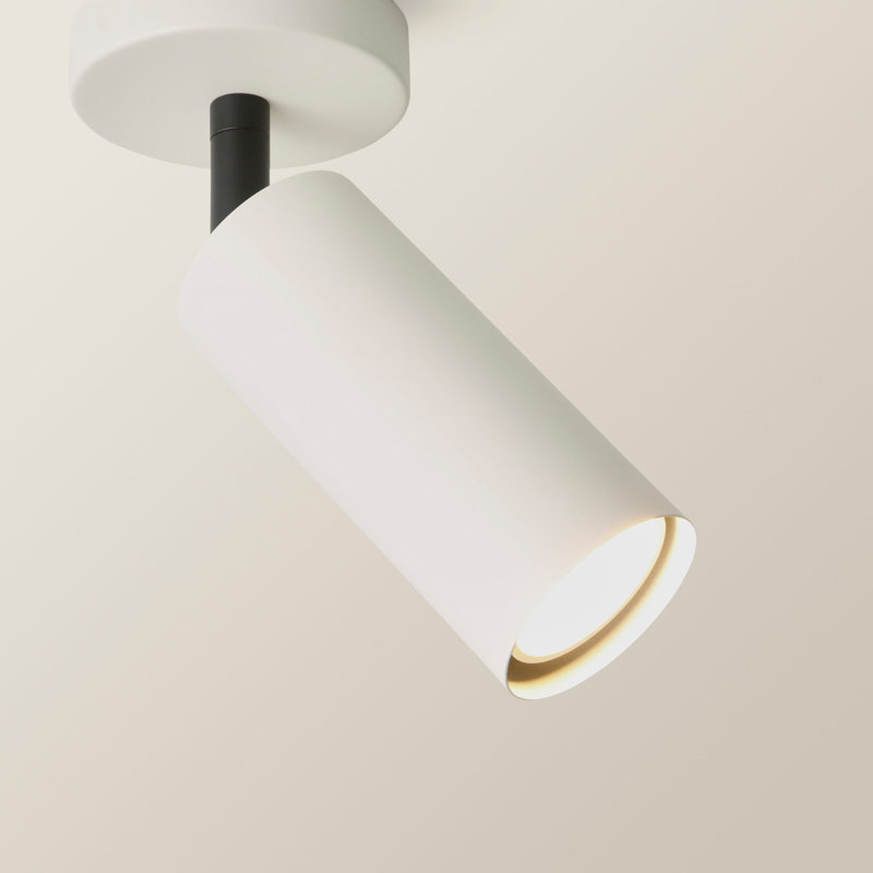 Taylor Matte  Tube Way Adjustable Ceiling Spotlight and Bulbs, Beige, 1