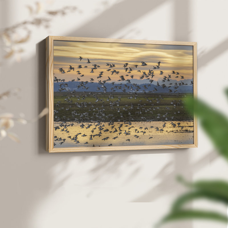 Sunset Flight -Framed Print - Restickable, 8" H x 10" W, Natural