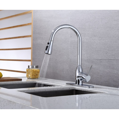 RunFine Group Pull Down Kitchen Faucet