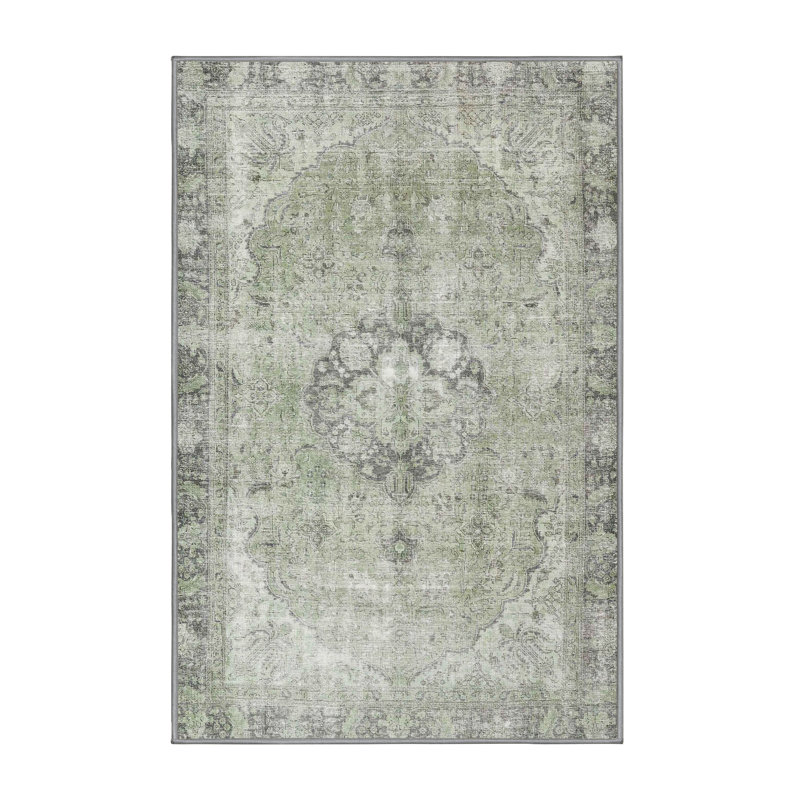 Aizhan Oriental Indoor Rug, Rectangle 5' x 7'