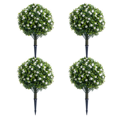 60cm Plant