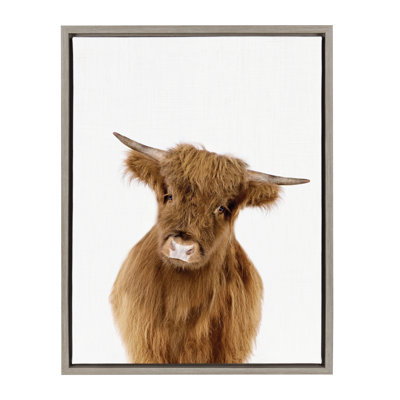 Baby Highland Calf Graphic Art on Canvas