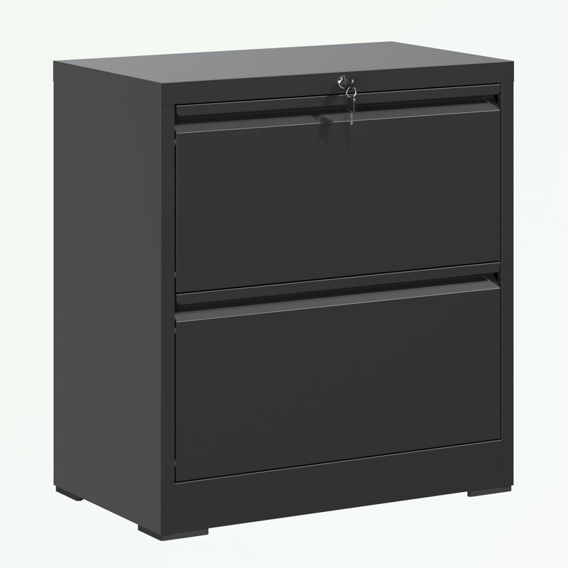 metal frame File Cabinet with 2 Drawers, Black