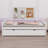 Platform Bed With Trundle