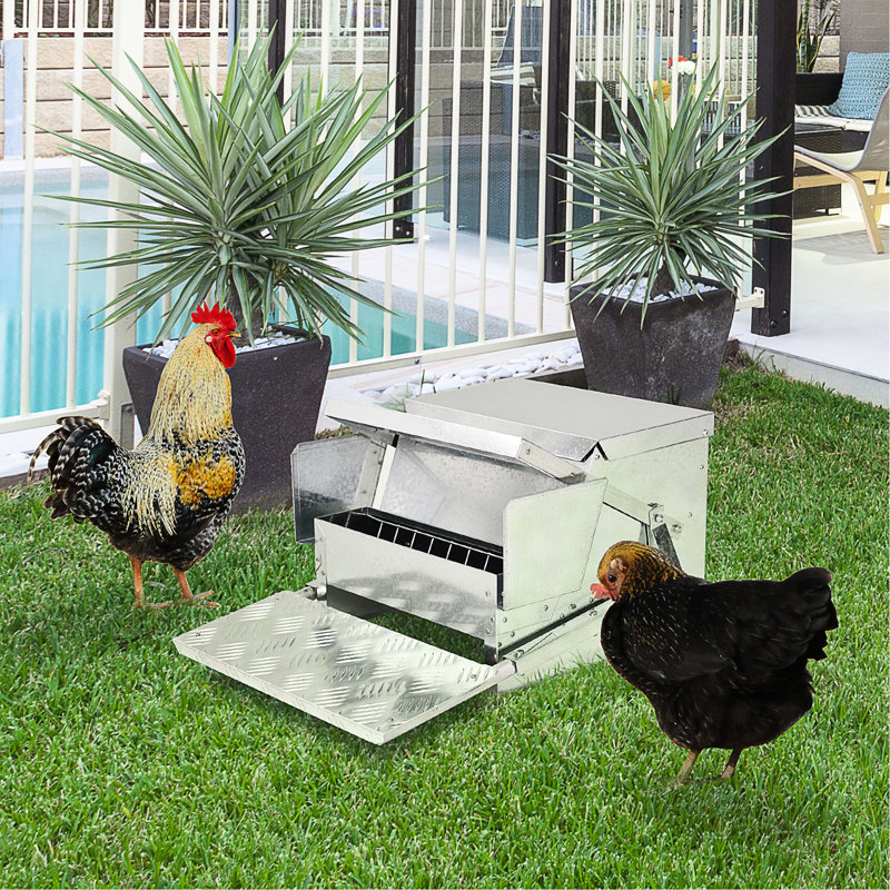 Système d'alimentation pour poulets d'une capacité de 30 lb - Acier galvanisé, aluminium