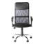 Wade Logan Abba Mesh Office Chair with Headrest