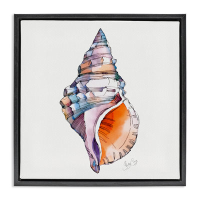 Sunrise Conch Shell Floating Frame, design by Shelly Craig