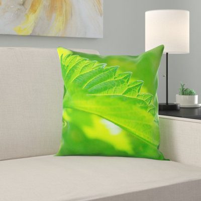 Housse et insert d'oreiller carré Stinging Ortie