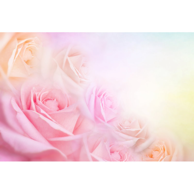 Fleurs roses, impression sur toile tendue, H 8 po x l 12 po