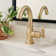Lulani Aurora Single Hole Bathroom Faucet with Drain Assembly