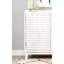 Carillon White 2-Door Accent Cabinet