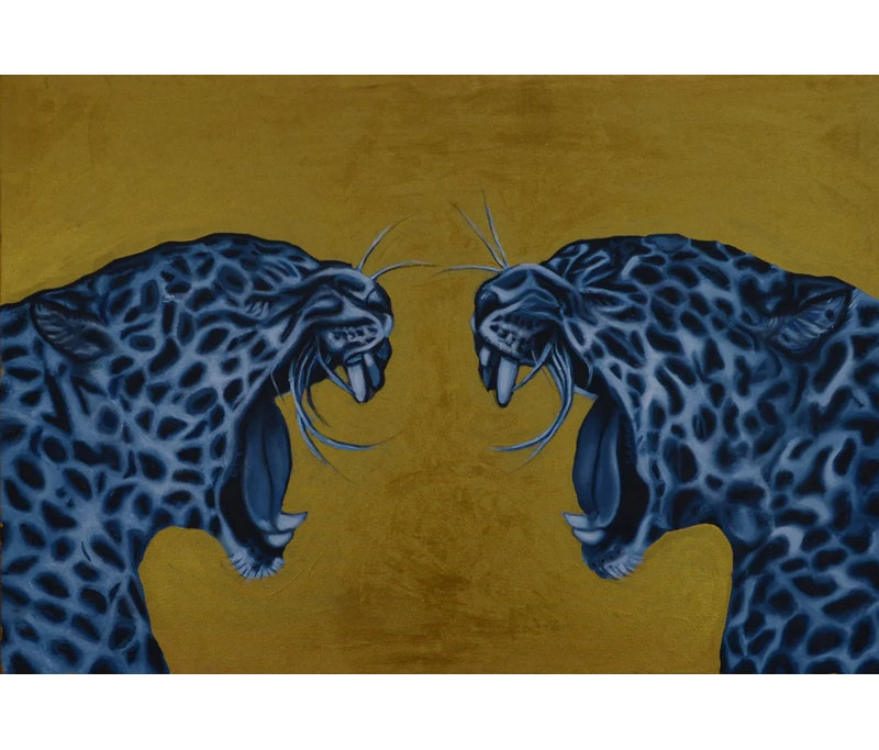 Furious Duality