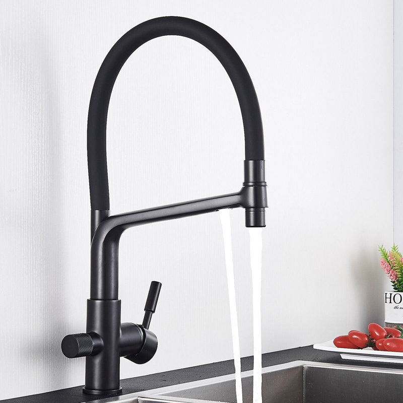 Belfry Kitchen Armana Kitchen Faucet