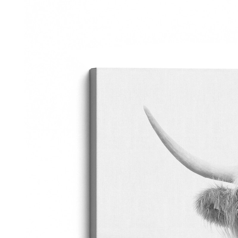«Playful Highland Cow», reproduction sur toile, Toile tendue, H 12 po x l 18 po x P 1,25 po