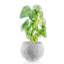 Handmade Pot Planter-52454937