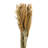 Zellmer 36'' H Preserved Plume Reed Bundle-1314828999