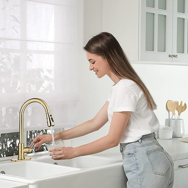 Mega Handles Single Faucet Pull Down Kitchen sink Faucet, Pull Down Sprayer with 3-Way Spray , Satin Brass