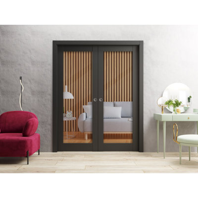 Sliding French Double Pocket Doors | Lucia 2166 Matte Black Clear Glass | Kit Trims Rail Hardware