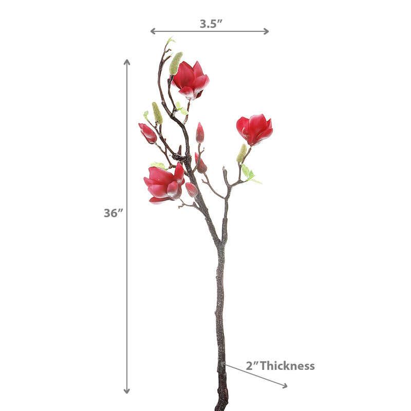 Magnolia grand jet rose, Rouge