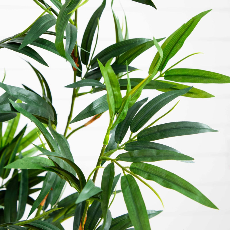 Bamboo Silk Plant Tree