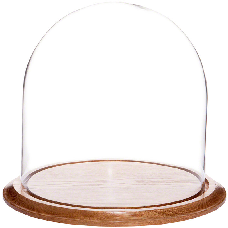 Vucciria 11.75" x 12" Glass Display Dome Cloche, Oak Base