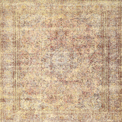Oriental Indoor Rug