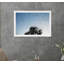 Murmure I-59121775-59121776