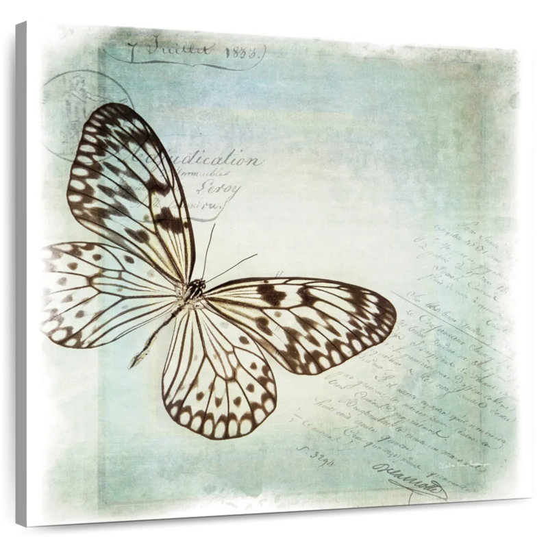 Brampt Floating Butterfly I, 16" H x 16" W