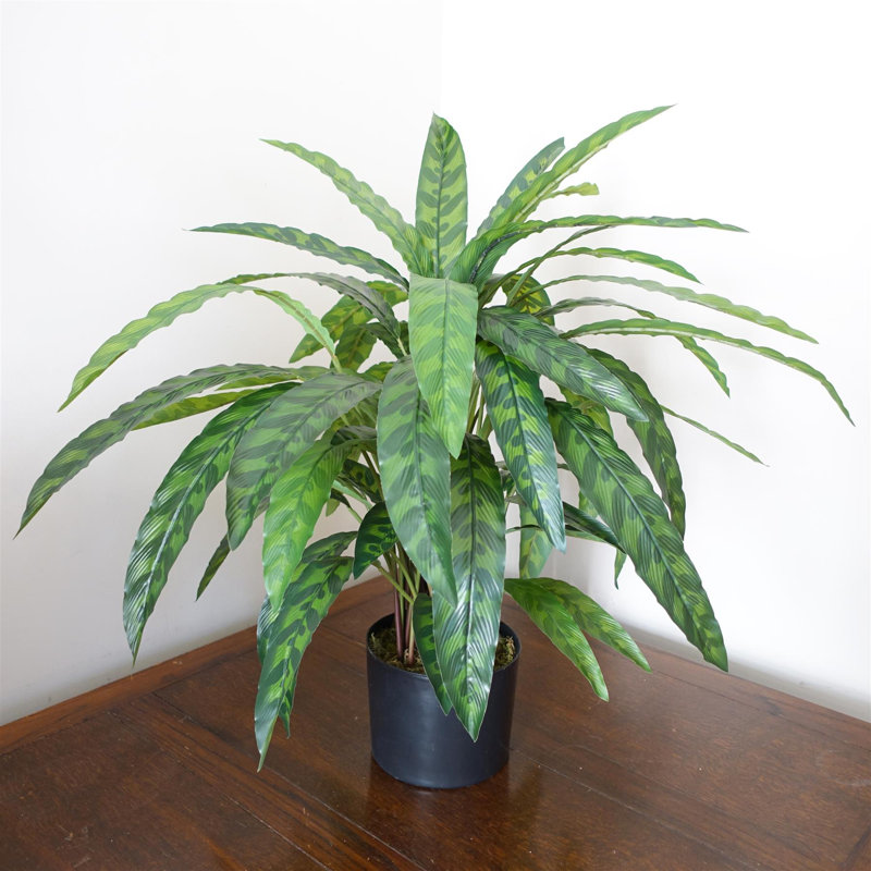 Artificial Foliage Plant in Pot Liner, 60 cm x 60 cm