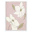 Oleander blanc - cadre photo-59854982-59854983
