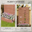 Lit de platebande surélevée-865665062