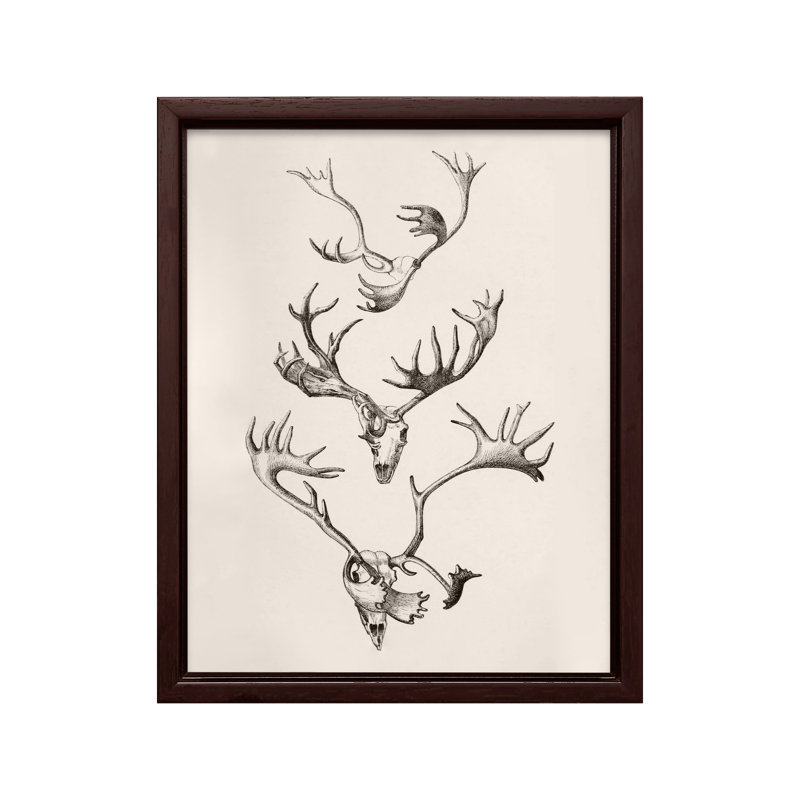 Crâne et bois, Canvas, 24"H x 32"W, Brown Framed
