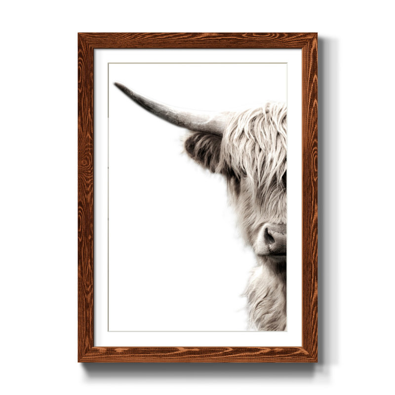 Bétail des Highlands - reproduction de photo, H 37,5 po x l 27,5 po x P 1,5 po, Papier avec cadre érable, Blanc