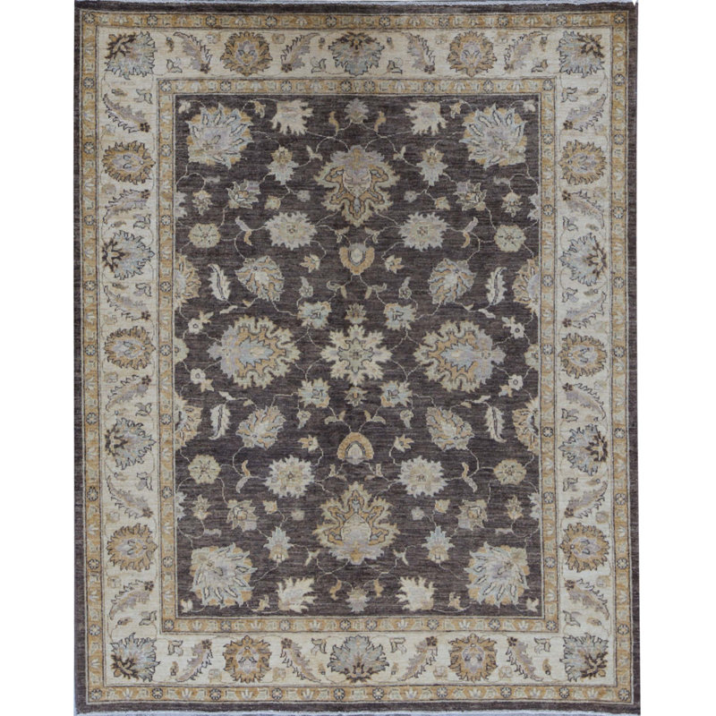 Ziegler Wool Oriental Area Rug in Brown/Beige/Green