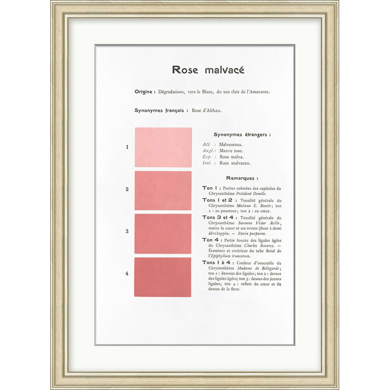 Pink 4 Print by Danielle Rollins