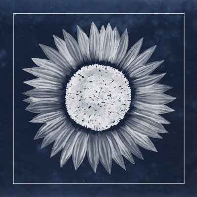 Moon Flower IV by Grace Popp - Wrapped Canvas Painting