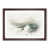 Walnut Framed selected