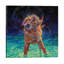 " Moonlight Swim "-49902865-49902858