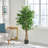 70.9'' Faux Ficus Tree in Pot-378567686