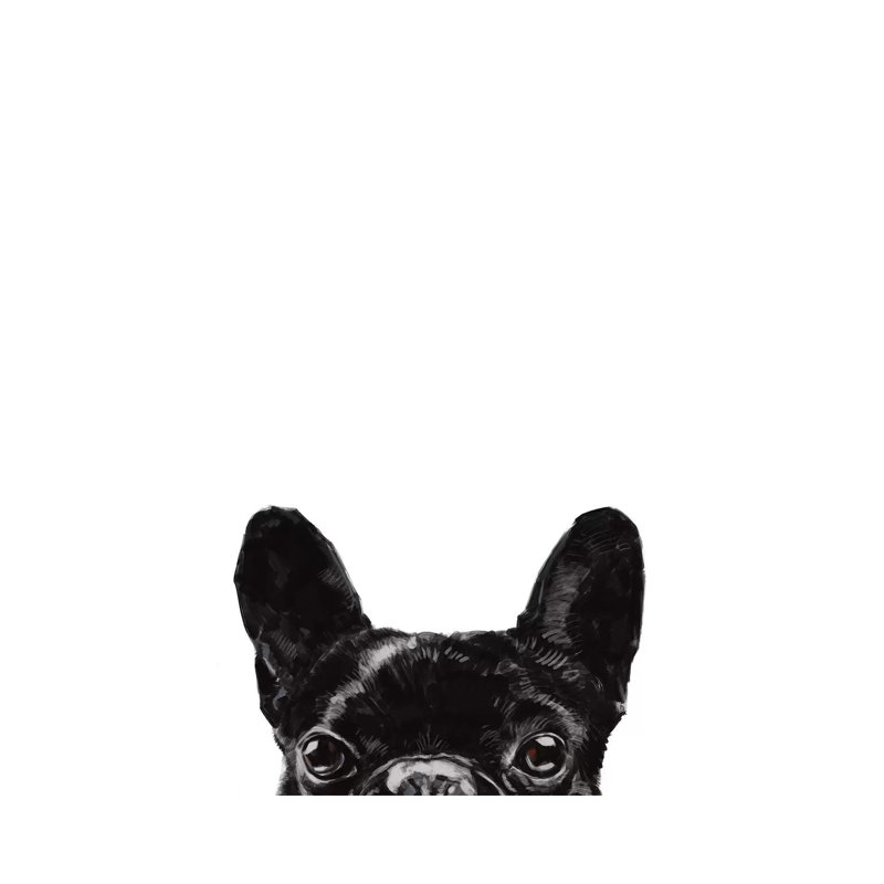 Peeking Bulldog by Big Nose Work - Wrapped Canvas Print, 20.32 cm H x 30.48 cm W