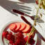 Tortoise 4 - Piece Stainless Steel Flatware Set - Service for 1