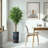 75 " H Faux Ficus Tree in Plastic Planter-97992057