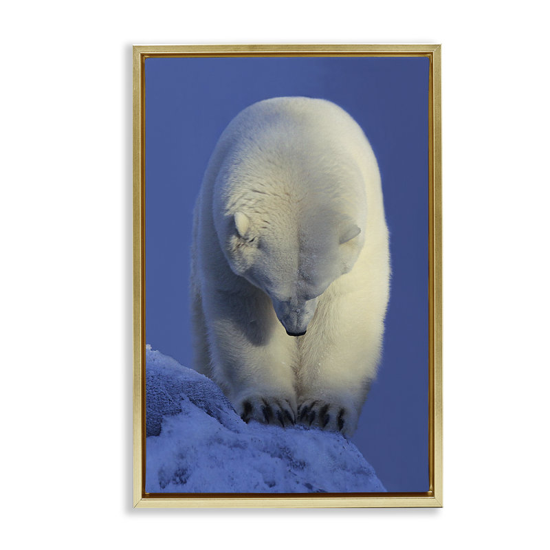 Toile flottante encadrée «Contemplation» par Shane Lamb, Cadre flottant métallique doré, H 25 po x l 17 po