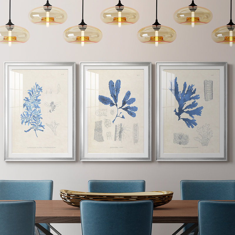 Blue Marine Algae VI - reproduction encadrée sur mesure de qualité supérieure mate - 3 pièces, H 15 po x l 19 po