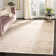 Floral Hand Woven Indoor / Outdoor Area Rug