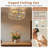 20in Caged Ceiling Fan With Light And Remote, Small Flush Mount Enclosed Ceiling Fan, Low Profile Vintage Victorian Fandelier, 6 Speeds Reversible Quiet Motor For Kitchen, Dining Room, Bedroom - White & Gold