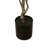 Dracaena Drop-in Plant